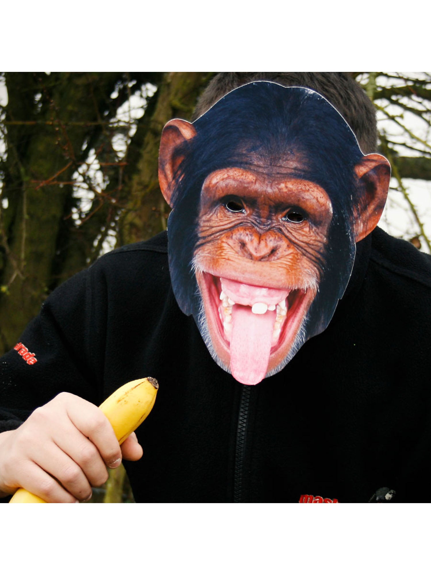 CHIMPANZEE ANIMAL FACE MASK 2