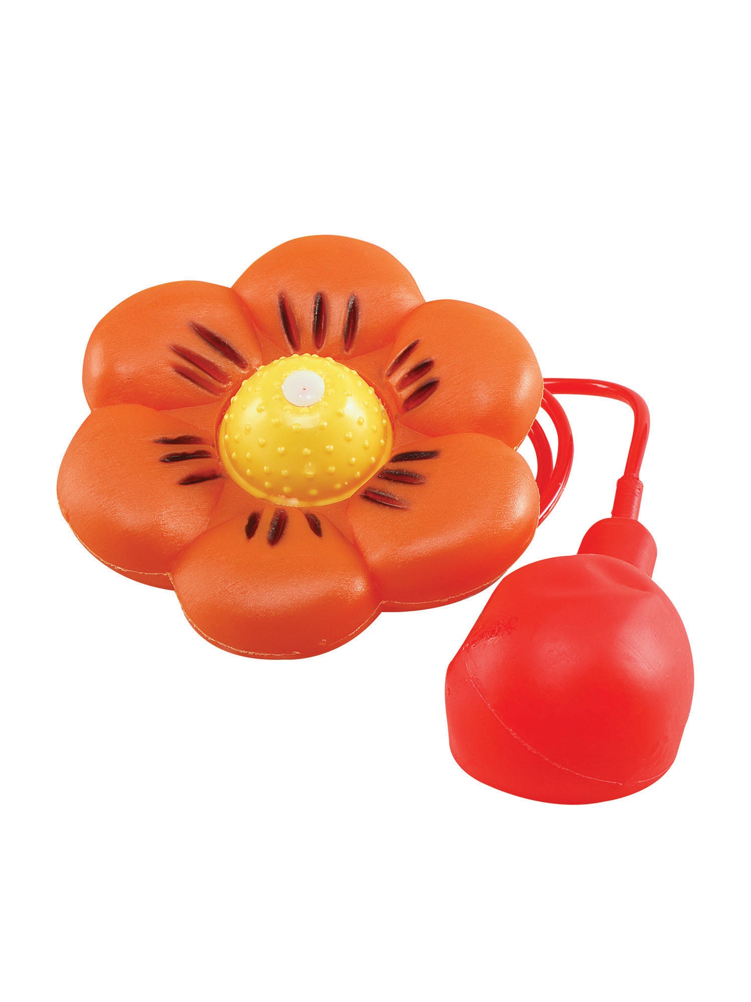 Water Squirt Flower Daisy
