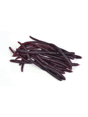 Earthworms (20Pcs)