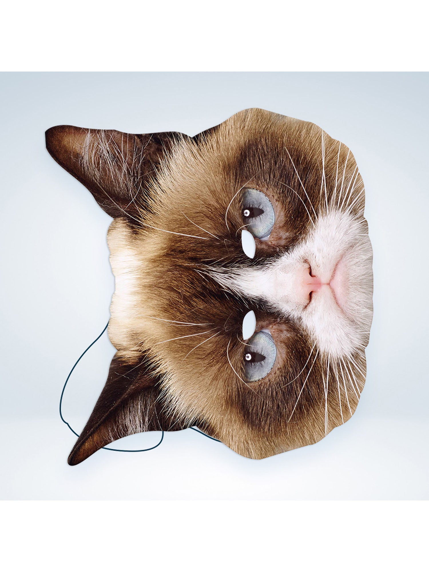 Grumpy Cat Mask 4