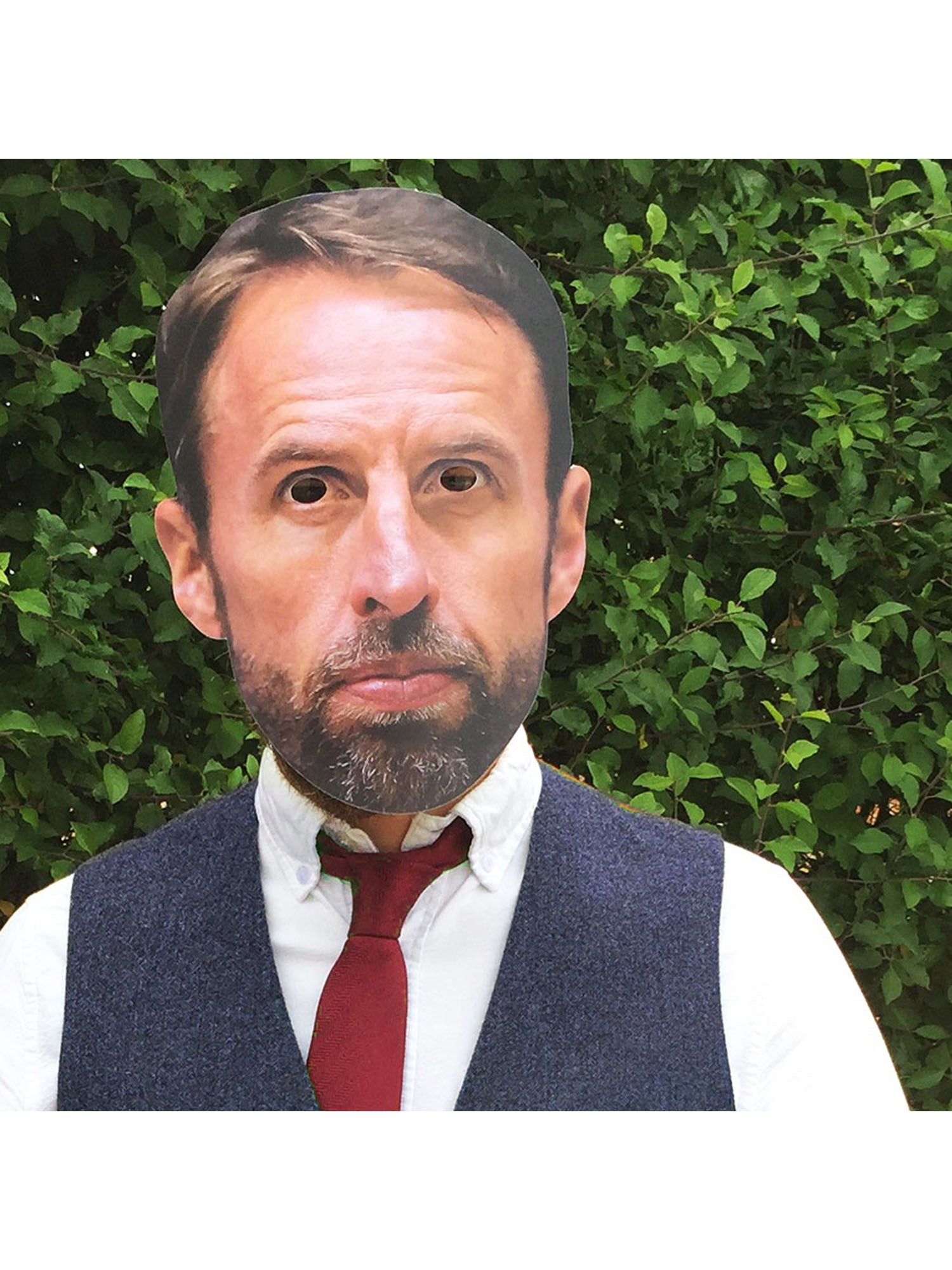 Gareth Southgate Celebrity Face Mask 2