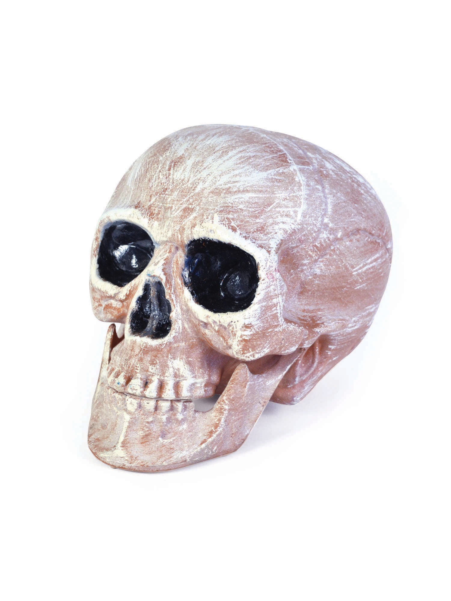 Skull Head Realistic