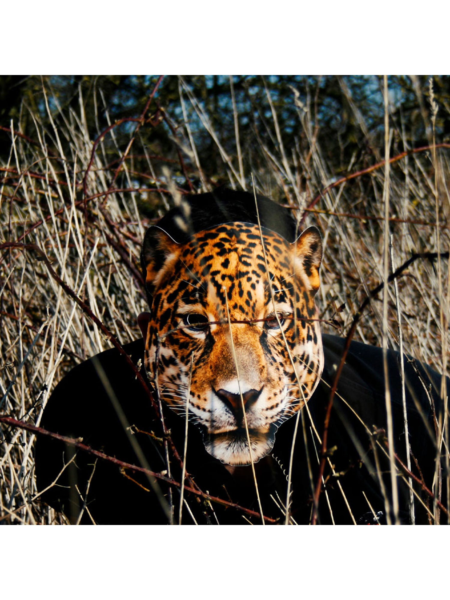 Leopard Animal Mask 2