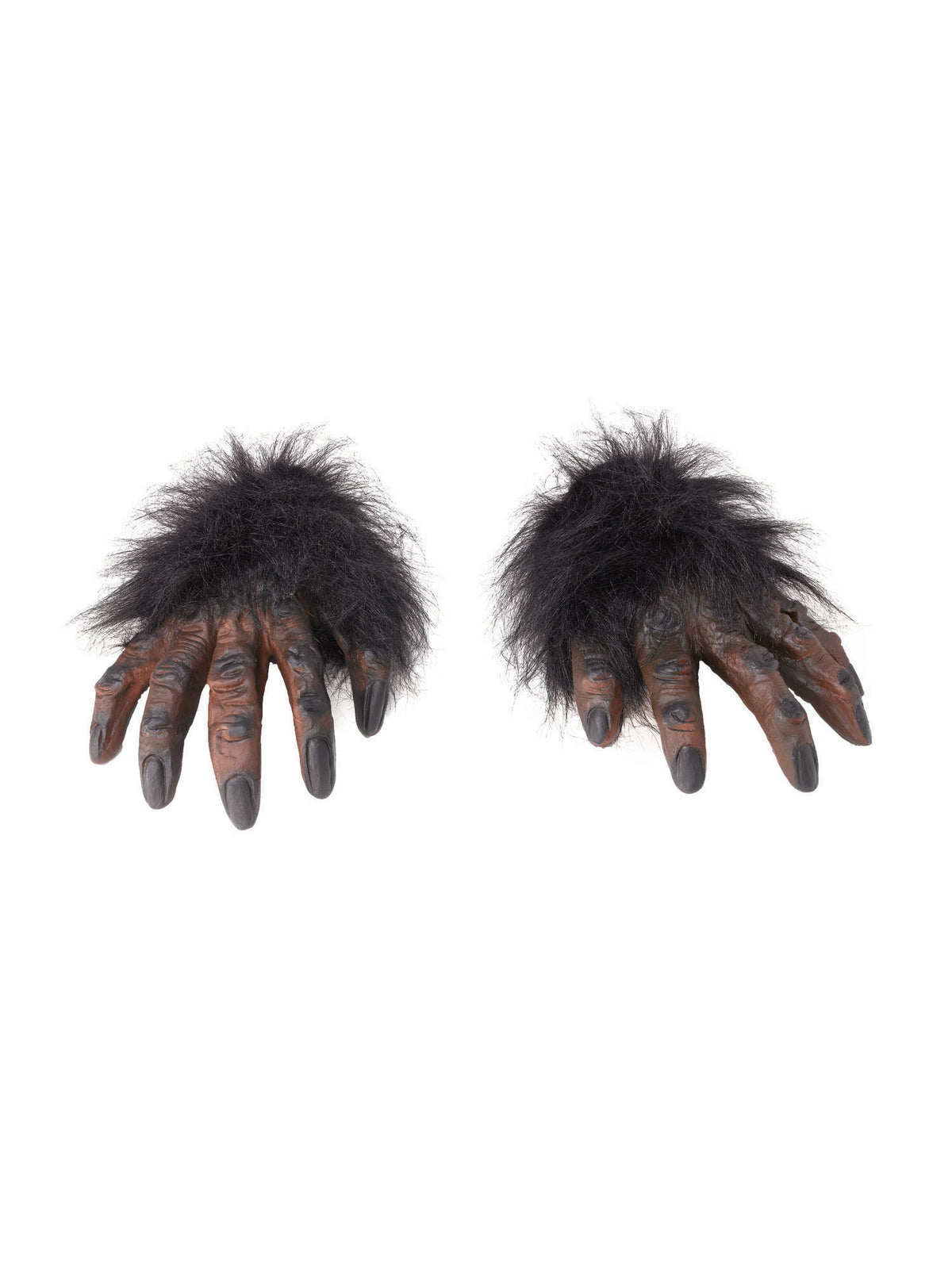 Brown Hairy Hands 1