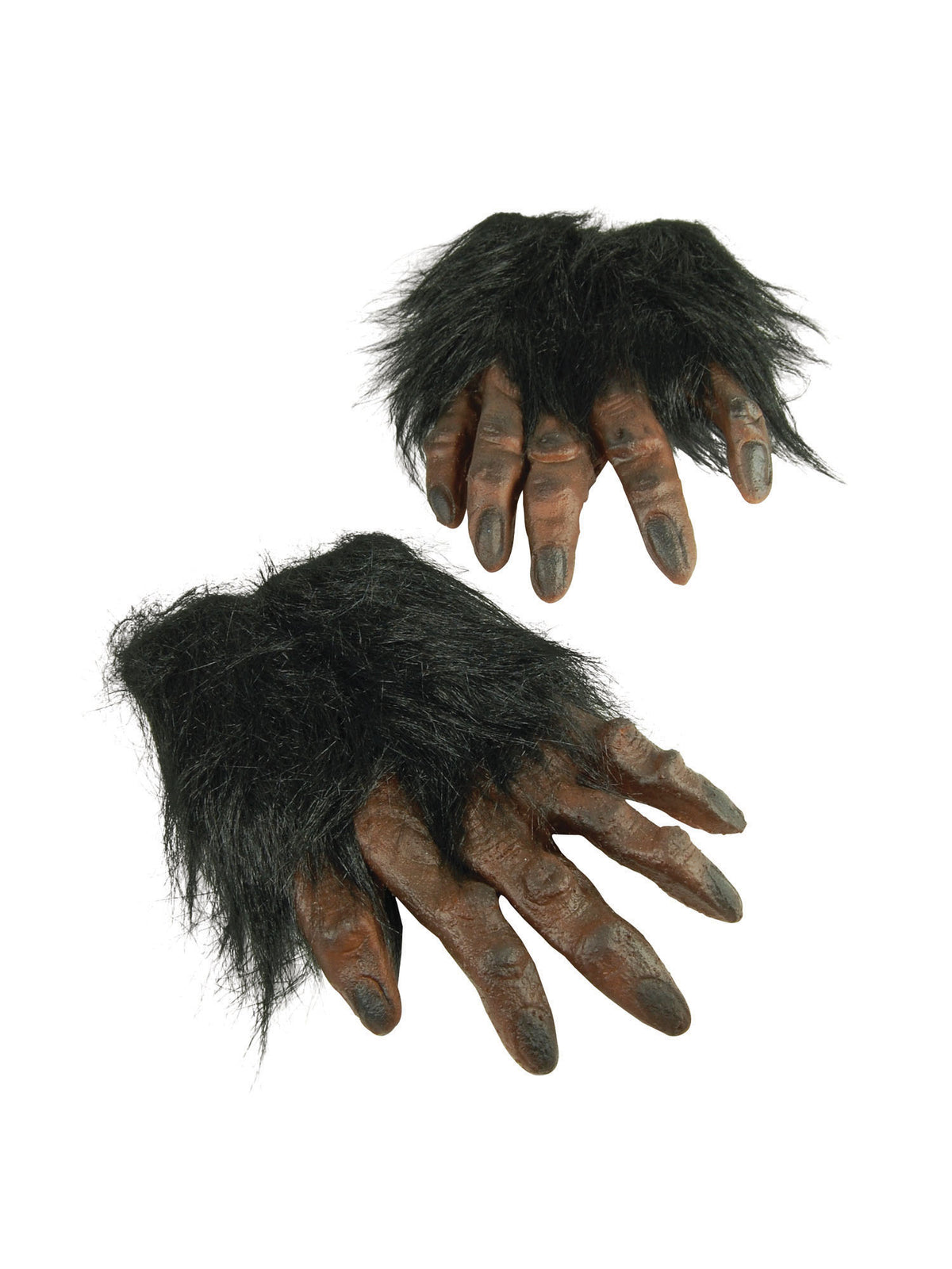 Brown Hairy Hands 3
