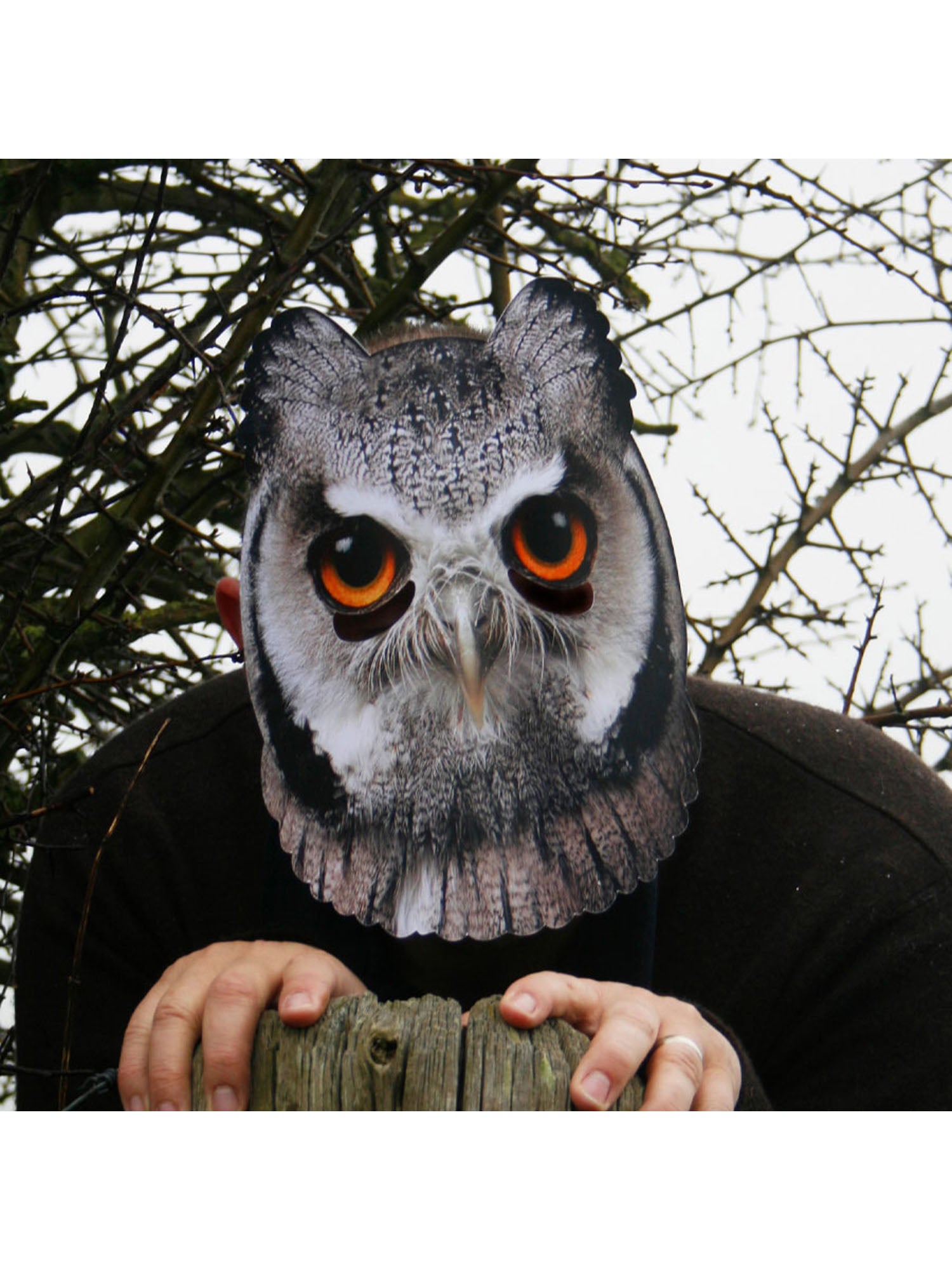 Owl Animal Mask 4