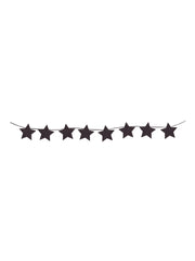 Diamond Star Banner 1