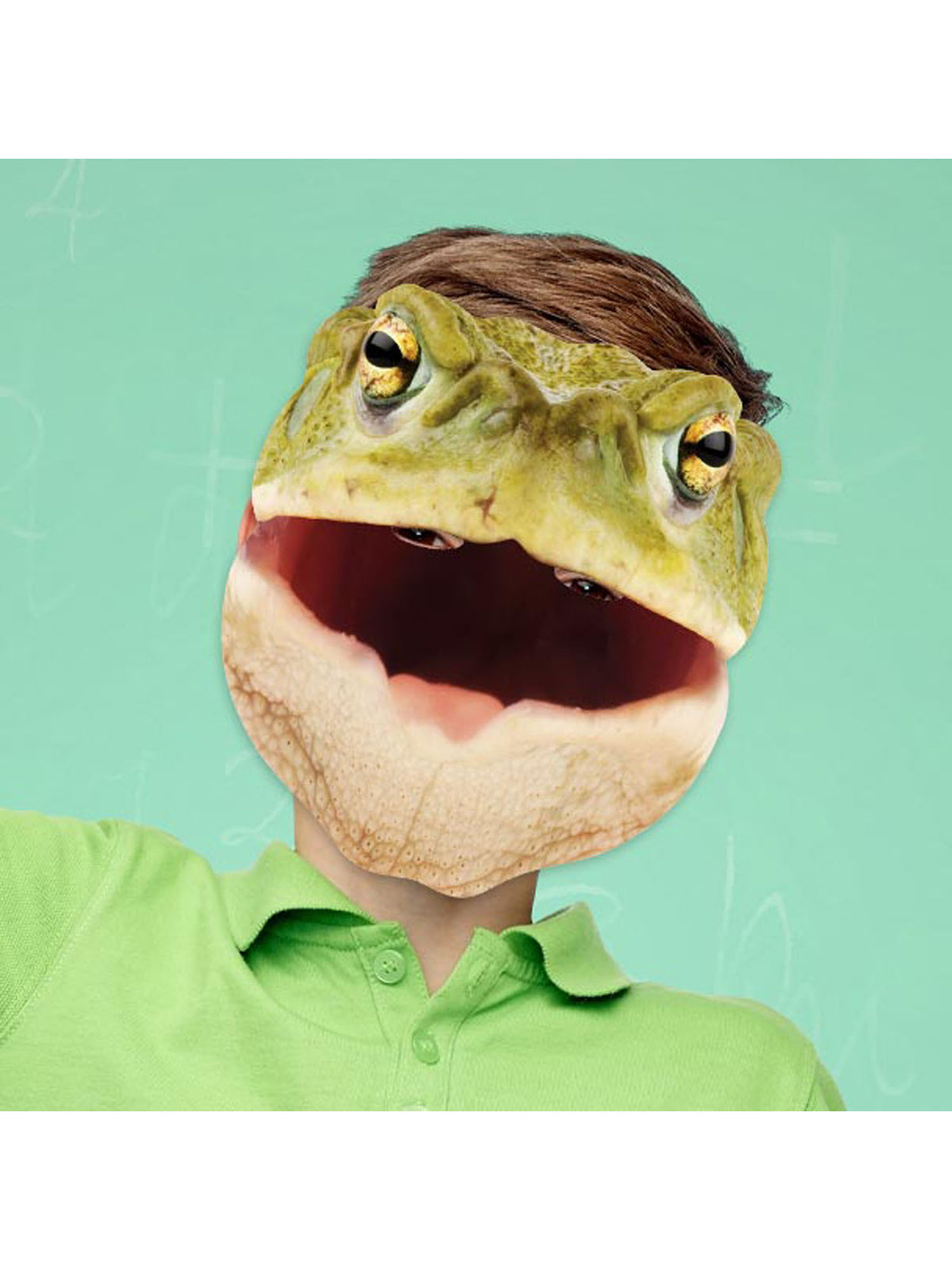 Toad Animal Mask 2