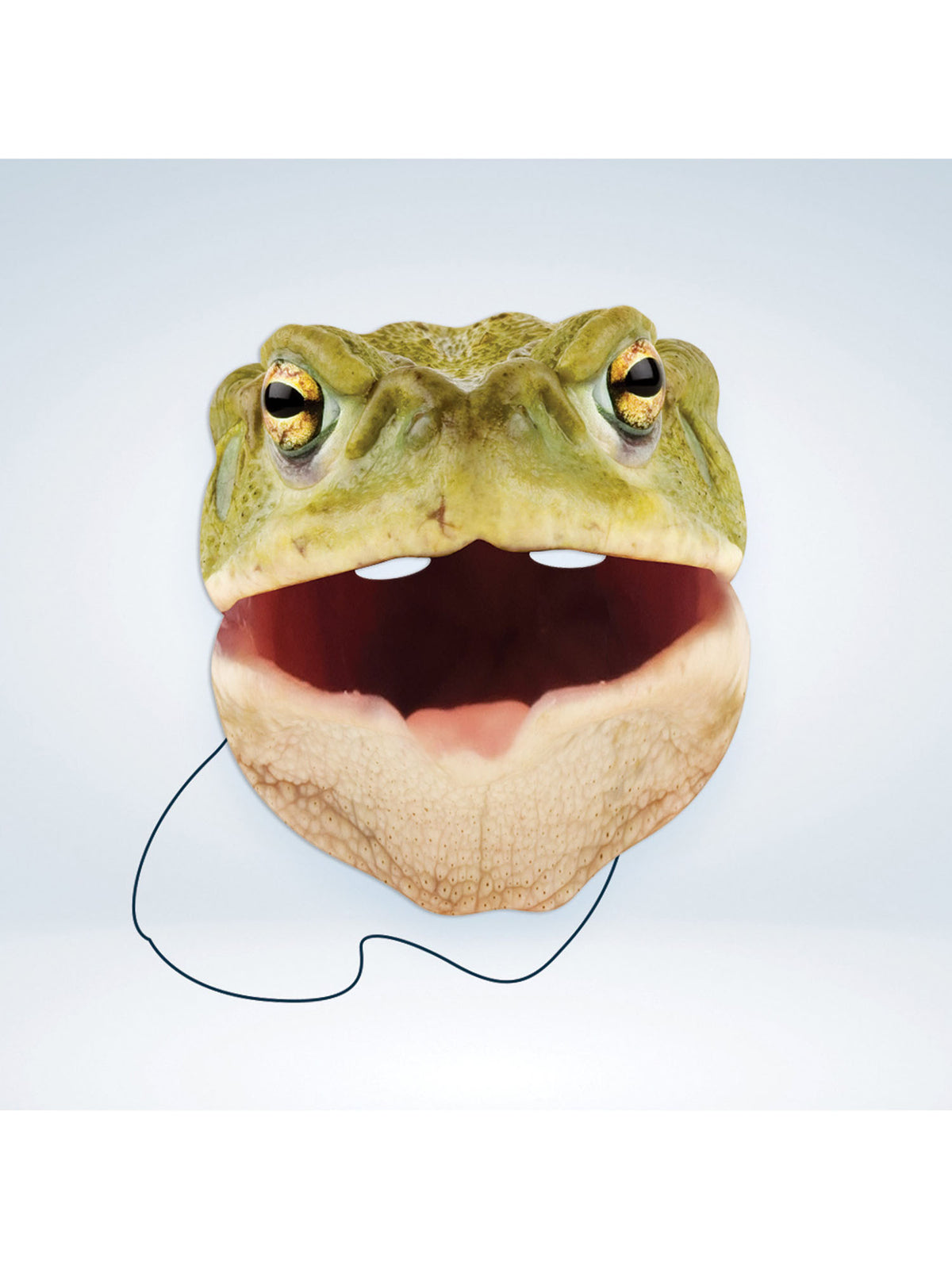 Toad Animal Mask 4