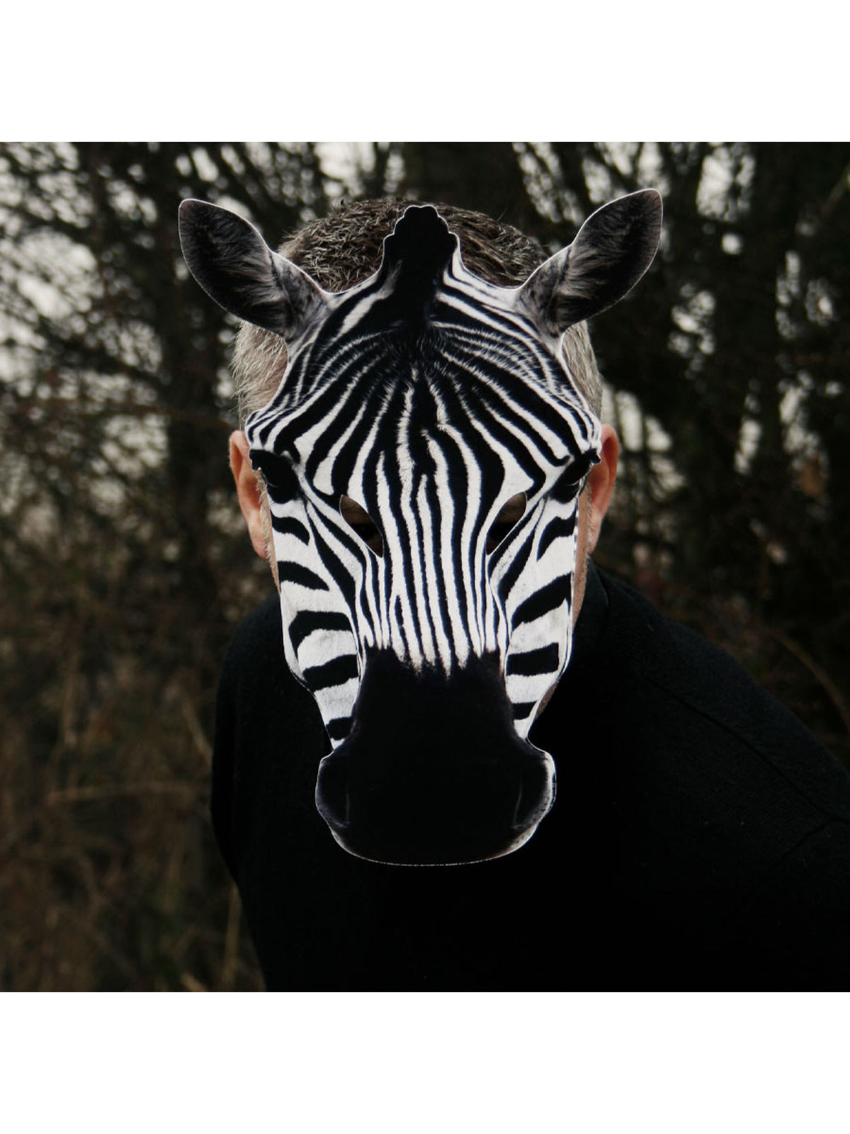 ZEBRA ANIMAL MASK 2