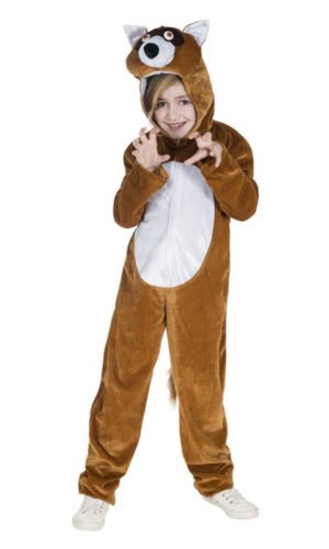 Fox Costume,