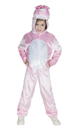 Pig Costume,