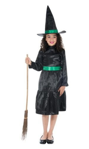 Wicked Witch Costume, Black & Green