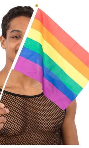 Hand Held Rainbow Flags, 45x30cm, 12Pk
