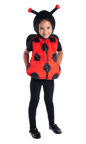 Ladybird Costume